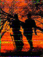 Shortwave Radiogram image