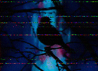 Shortwave Radiogram image