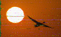 Shortwave Radiogram image