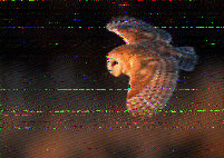 Shortwave Radiogram image