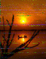 Shortwave Radiogram image