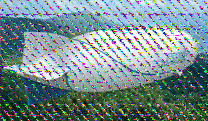 Shortwave Radiogram image