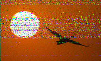 Shortwave Radiogram image