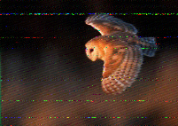 Shortwave Radiogram image