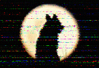 Shortwave Radiogram image