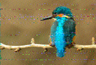 Shortwave Radiogram image