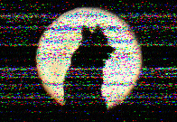 Shortwave Radiogram image