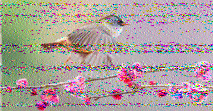 Shortwave Radiogram image