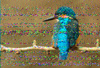 Shortwave Radiogram image