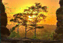 Shortwave Radiogram image