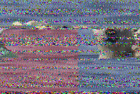 Shortwave Radiogram image