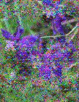 Shortwave Radiogram image
