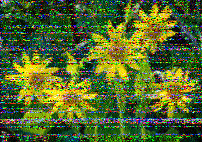 Shortwave Radiogram image