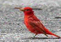 Shortwave Radiogram image