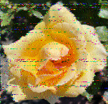 Shortwave Radiogram image