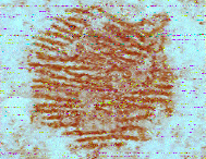 Shortwave Radiogram image