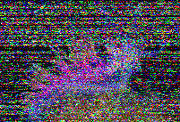 Shortwave Radiogram image