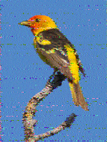 Shortwave Radiogram image