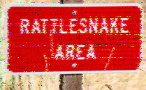 Shortwave Radiogram image