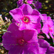 Shortwave Radiogram image