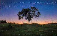 Shortwave Radiogram image