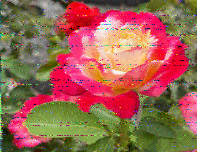Shortwave Radiogram image