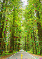 Shortwave Radiogram image