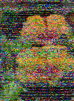Shortwave Radiogram image
