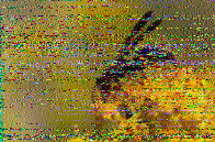 Shortwave Radiogram image