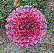 Shortwave Radiogram image