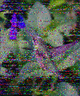 Shortwave Radiogram image