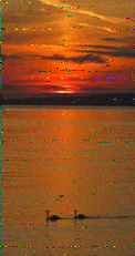 Shortwave Radiogram image