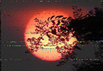 Shortwave Radiogram image