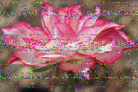 Shortwave Radiogram image