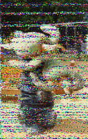 Shortwave Radiogram image