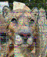 Shortwave Radiogram image