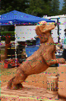 Shortwave Radiogram image