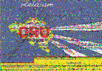 Shortwave Radiogram image