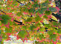 Shortwave Radiogram image