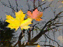 Shortwave Radiogram image