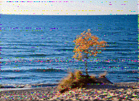 Shortwave Radiogram image