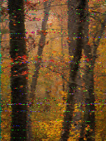 Shortwave Radiogram image