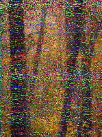 Shortwave Radiogram image
