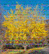 Shortwave Radiogram image