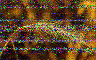 Shortwave Radiogram image