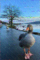 Shortwave Radiogram image