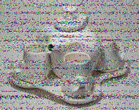 Shortwave Radiogram image