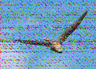 Shortwave Radiogram image