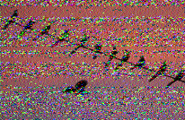 Shortwave Radiogram image
