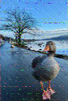 Shortwave Radiogram image